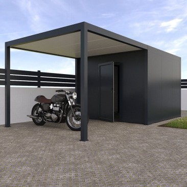Module Carport + Abri Jardin
