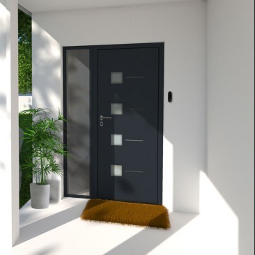 Porte d'Entrée en Aluminium...