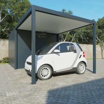 Combiné Carport et Abri
