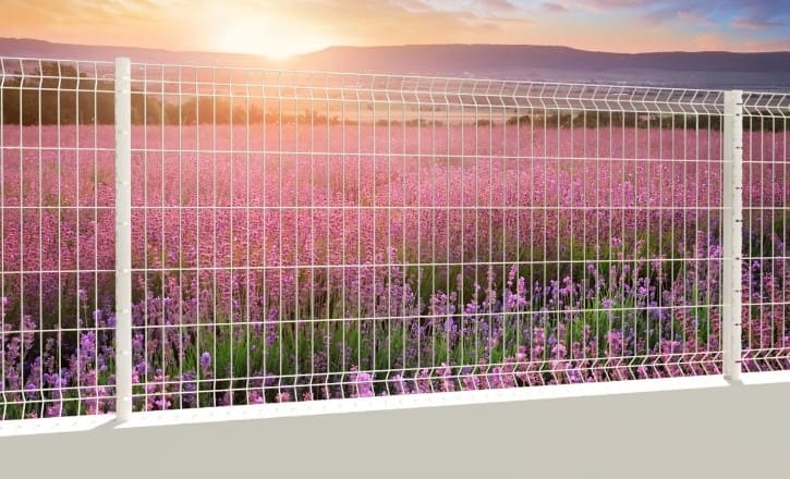 Décoration de jardin