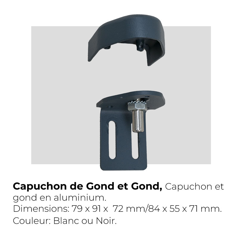 Image Capuchon de Gond et Gond